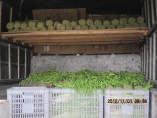 四川中江縣優質新鮮韭黃批量供應，誠邀批發商合作