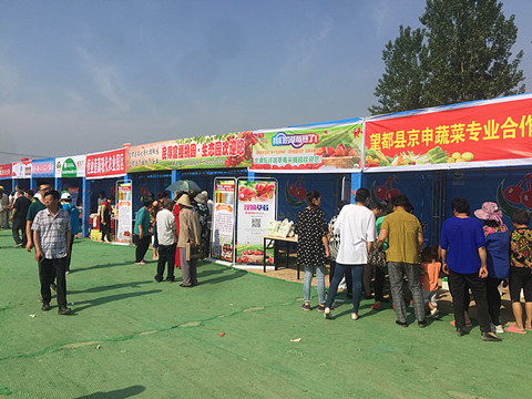 望都2017櫻桃文化旅游節暨農副產品展銷會拉開帷幕，助力地方特色食品銷售