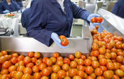 從田間到餐桌 農副食品加工業的內涵、現狀與未來展望