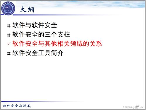 2024年網絡安全 軟件安全基礎、架構組件與安全開發詳解